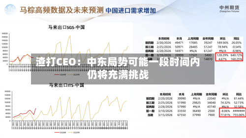 渣打CEO：中东局势可能一段时间内仍将充满挑战
