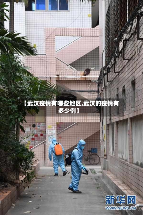 【武汉疫情有哪些地区,武汉的疫情有多少例】