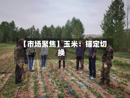 【市场聚焦】玉米：锚定切换