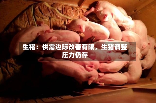 生猪：供需边际改善有限，生猪调整压力仍存