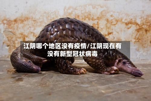 江阴哪个地区没有疫情/江阴现在有没有新型冠状病毒
