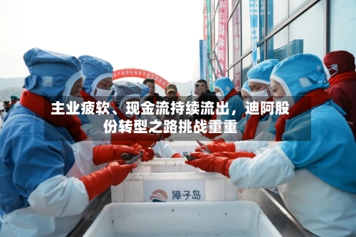 主业疲软、现金流持续流出,迪阿股份转型之路挑战重重
