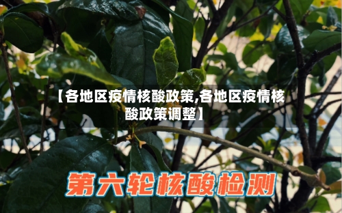 【各地区疫情核酸政策,各地区疫情核酸政策调整】