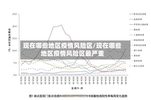 现在哪些地区疫情风险区/现在哪些地区疫情风险区最严重