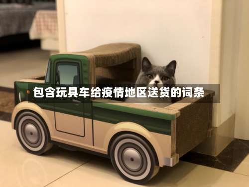 包含玩具车给疫情地区送货的词条