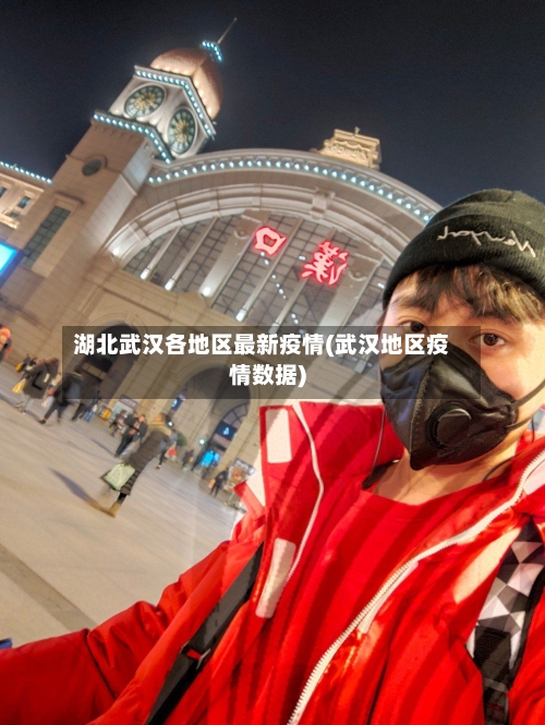 湖北武汉各地区最新疫情(武汉地区疫情数据)