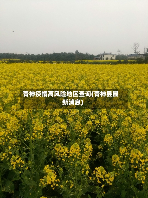 青神疫情高风险地区查询(青神县最新消息)