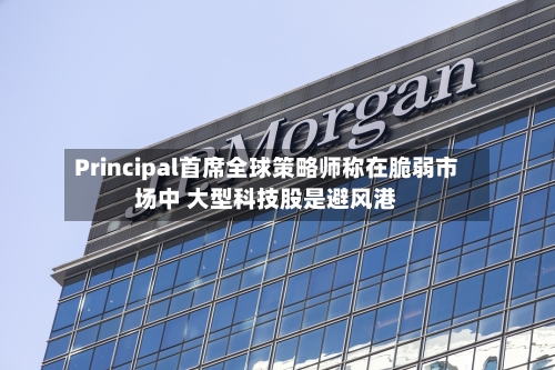 Principal首席全球策略师称在脆弱市场中 大型科技股是避风港